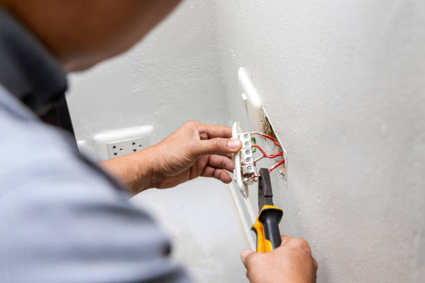 Best Electrician for Home Renovation  in Dupo, IL